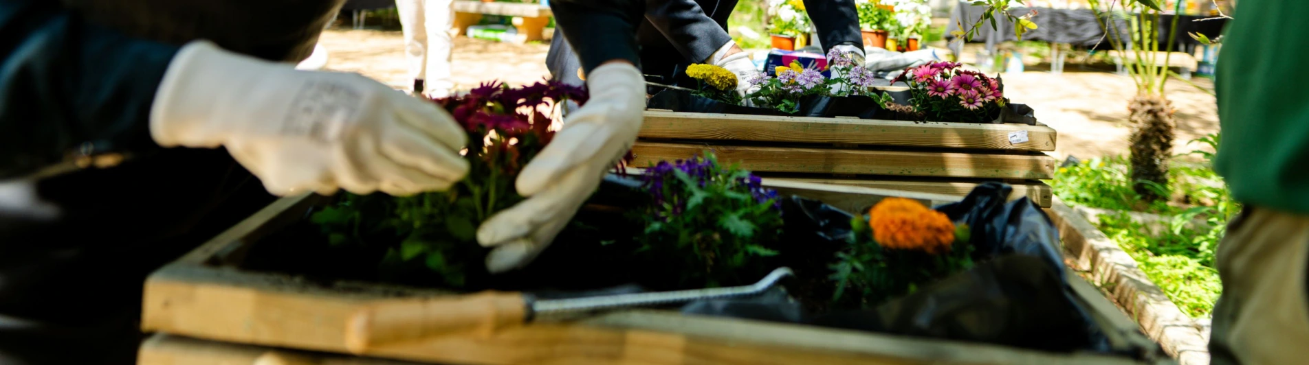 Boost Events - How to Organise Sustainable Corporate Events in Portugal (2)