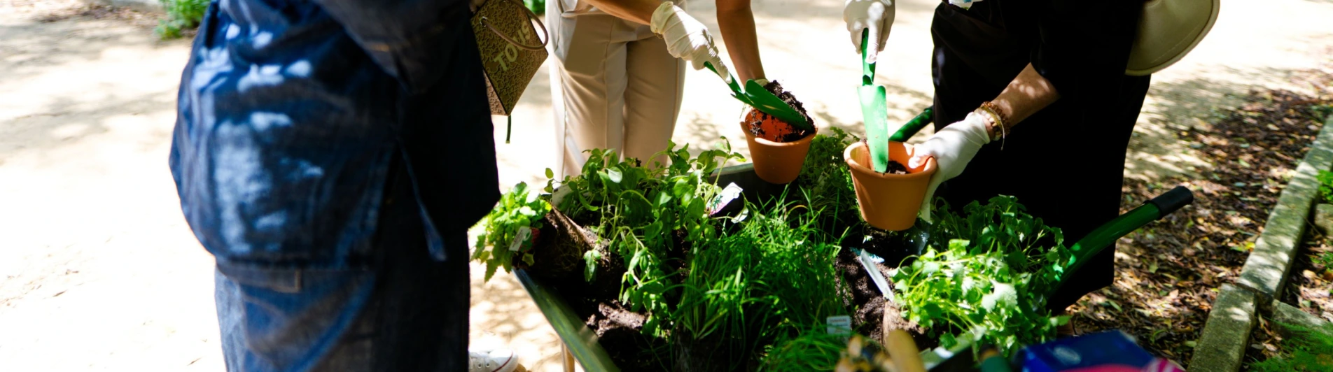 Boost Events - How to Organise Sustainable Corporate Events in Portugal (1)